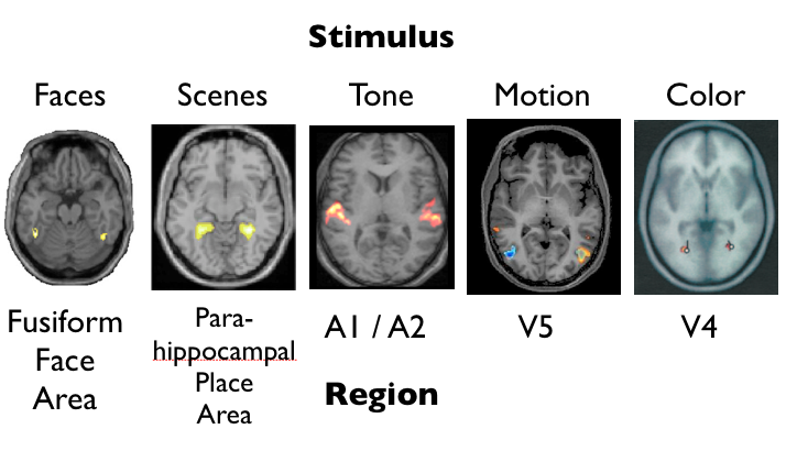 fmri examples
