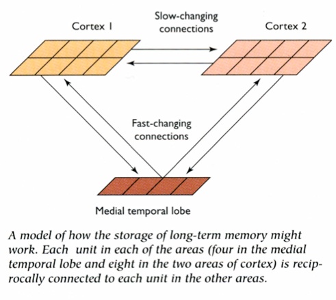 memory consolidation model