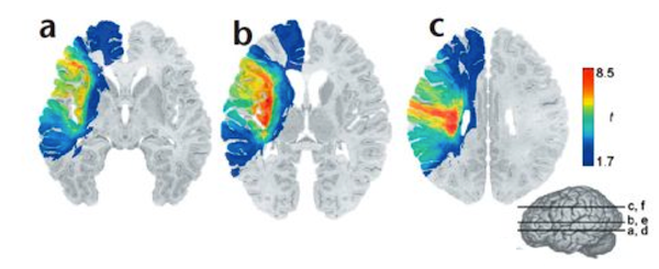 language heat map