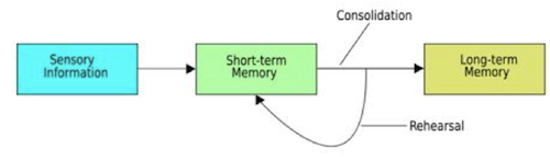 consolidation model