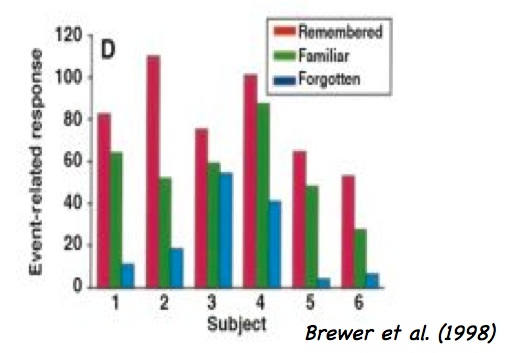 memory encoding
fmri brewer