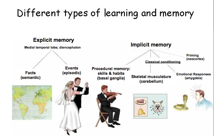 implicit memory examples