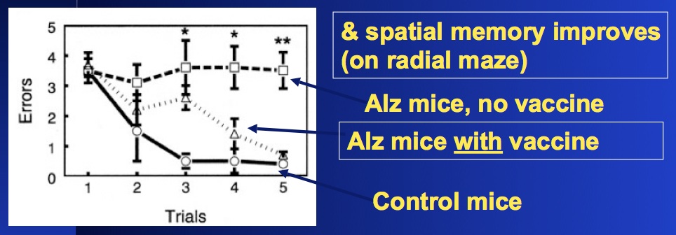 alzheimer mouse behavior